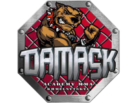 СК Damask